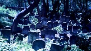 Страшные истории - Кладбище
