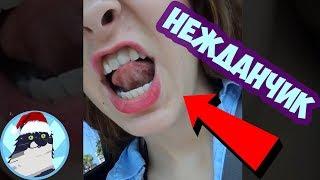 ПРИКОЛЫ 2018 ЯНВАРЬ 