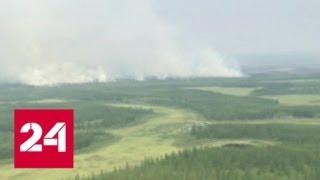 Леса на всей территории России продолжают гореть - Россия 24
