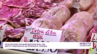 27 января: Новости. Сегодня в мире (выпуск от 12:00)
