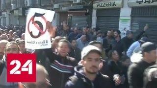 Протесты в Алжире: более 100 полицейских ранены, почти 200 человек задержаны - Россия 24