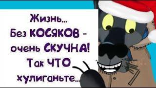 ✔️Завтра никогда не наступает. Просыпаешься - и снова сегодня. Я проверял. Анекдоты с Волком.