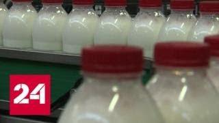 Четверть молока, треть сметаны и 60 процентов творога в России опасны для здоровья - Россия 24