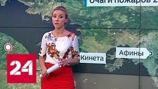 "Погода 24": жара и сильный ветер способствовали быстрому распространению огня в Греции - Россия 24