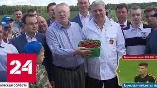 Жириновский поспорил с Грудининым на клубнику - Россия 24