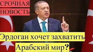 СРОЧНО! Турция хочет захватить Арабский мир!Арабы возмущены Эрдоганом!новости сегодня