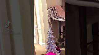 Christmas Cat