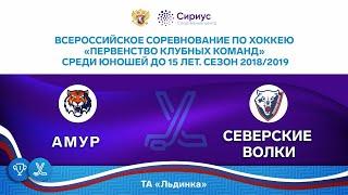 Хоккейный матч. 7.04.19. ХК «Амур» / ХК «Северские волки»