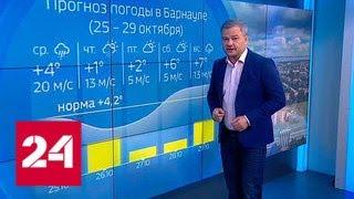 "Погода 24": снегопад и шквалистый ветер ожидает юг Сибири - Россия 24