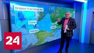 "Погода 24": в Москве прошла первая за осень ночь с минусовой температурой - Россия 24