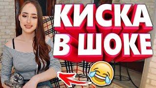 20 МИНУТ ОТБОРНЫХ ПРИКОЛОВ | ЛУЧШИЕ ПРИКОЛЫ МАРТ 2019 ржака до слез угар прикол - ПРИКОЛЮХА