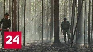 Военные Центрального военного округа помогают тушить пожары в Курганской области - Россия 24