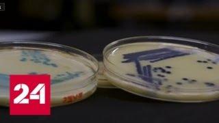 Борьба с микробами: цена вопроса - будущее человечества - Россия 24