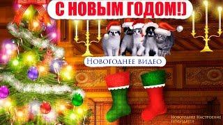 НОВОГОДНЕЕ ВИДЕО (для поднятия настроения)