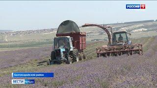 ВЕСТИ-КРЫМ: выпуск 06.07.2020 14:30