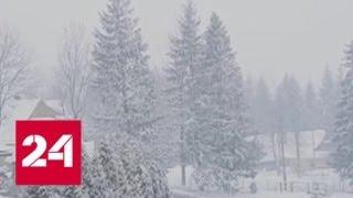 "Погода 24": Россию вновь заметает снегом - Россия 24