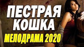 Легендарный фильм про любовь привлечет - ПЕСТРАЯ КОШКА / Русские мелодрамы 2020 новинки