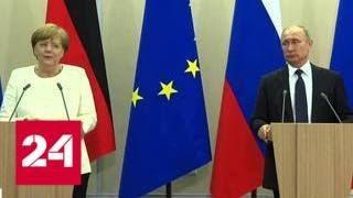 Теплая атмосфера и белый букет: о чем разговаривали Путин и Меркель - Россия 24