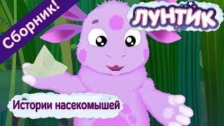 Истории насекомышей 