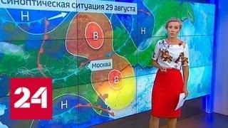 "Погода 24": в Москве может быть установлен очередной рекорд жары - Россия 24