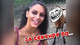 20 МИНУТ СМЕХА ДО СЛЁЗ 2019 ЛУЧШИЕ ПРИКОЛЫ ржака угар ПРИКОЛЮХА #1210