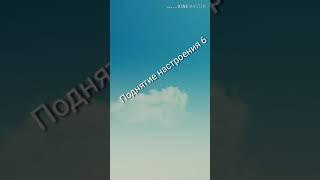 Заставки зырь в описание