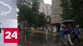 В столице снова объявлен желтый уровень погодной опасности - Россия 24