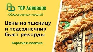 Цены на пшеницу и подсолнечник бьют рекорды. TOP Agrobook: обзор аграрных новостей