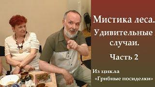 Мистика леса. Удивительные истории. Часть 2.