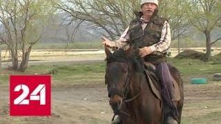 Депутат камчатского заксобрания попросил выделить парковку для его коня - Россия 24