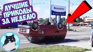 ЛУЧШИЕ ПРИКОЛЫ ЗА НЕДЕЛЮ 