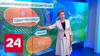 "Погода 24": в Москве может выпасть четверть месячной нормы осадков - Россия 24