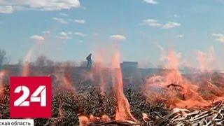Как после бомбардировки напалмом: весеннее обострение поджигателей - Россия 24