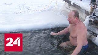 Крепче мороз, приятнее вода: столичные моржи обрадовались возвращению зимы - Россия 24