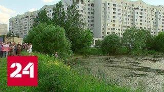Жители Балашихи пытаются отстоять городской сквер и озеро - Россия 24