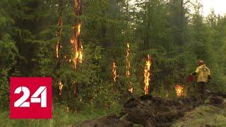 В Якутии за сутки удалось потушить почти две тысячи гектаров леса - Россия 24
