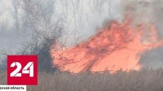Горит тайга в Сибири и на Дальнем Востоке: пожарные встретили праздник на работе - Россия 24