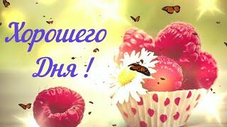 Хорошего дня ! Красивое пожелание !
