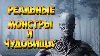 Жуткие Монстры и Чудовища Существуют! Не верите? Тогда Смотрите