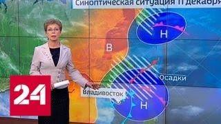 "Погода 24": в Приморье действует штормовое предупреждение - Россия 24