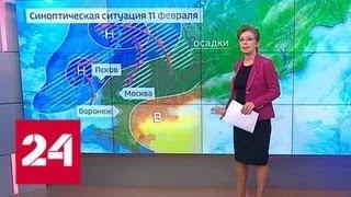 "Погода 24": на Русской равнине начинается новая оттепель - Россия 24