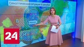 "Погода 24": Русскую равнину заметает снегом - Россия 24