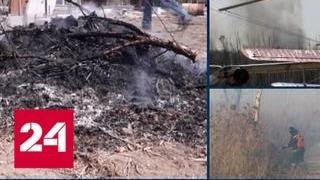 Амурская область получит 80 миллионов на борьбу с лесными пожарами - Россия 24