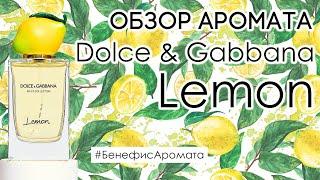 Обзор и отзывы об аромате Dolce & Gabbana Lemon от Духи.рф | Бенефис аромата