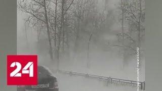 "Погода 24": зима вернулась в Европейскую Россию - Россия 24