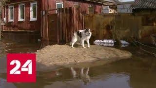 Актарск затопило: в Саратовской области вода продолжает прибывать - Россия 24