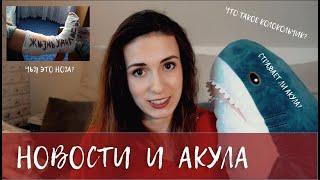 Екатерина Яшникова - Новости с акулой из Икеи