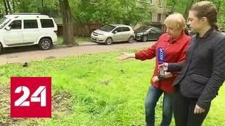 Вместо забора проплешина: московские газоны страдают от машин