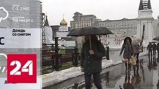 Погода в Москве резко ухудшилась - Россия 24