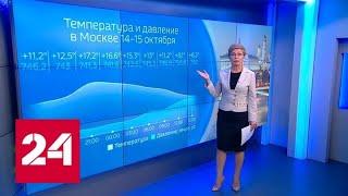 "Погода 24": синоптики предупредили о резких перепадах атмосферного давления - Россия 24
